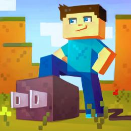 Plug for Minecraft PE